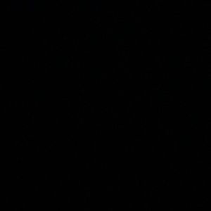 Meet your Posher, Cortez